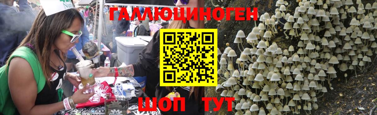 Петропавловск-Камчатский  Псилоцибиновые грибы прущие грибы  Вход с VPN  наркотики  Галлюциногенные грибы Cubensis 